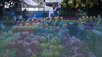 سعر البرتقال في أسواق المنوفية اليوم الإثنين 3-11-2025